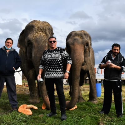 Bröderna Mario och Pino D´Amico och Pinos son Derek. I bakgrunden elefanterna Babi och Kama.