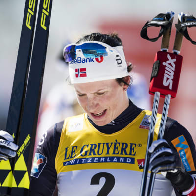 Marit Björgen satsar allt på att lyckas i OS i Sydkorea. Hon stryker Tour de Ski och lämnar familjen hemma från Pyeongchang.