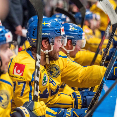 Sveriges herrlandslag i ishockey
