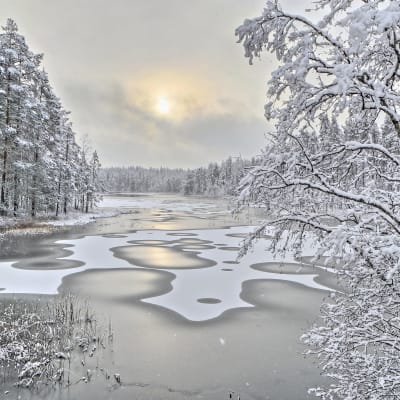 Istäcke över sjö i vintrigt landskap.