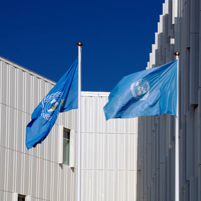 FN flaggor i Köpenhamn. 