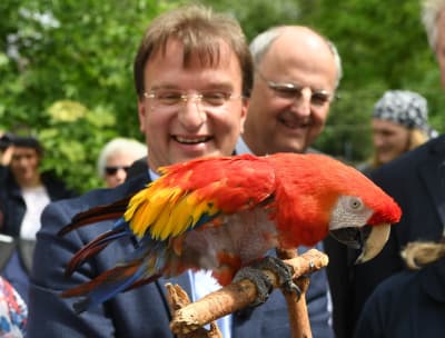 Papegojan från Pippi på de sju haven, Douglas har dött. På bilden är presenteras Douglas för besökare på Karlsruhe zoo den 11 maj 2016. I bakgrunden zoodirektören  Matthias Reinschmidt.