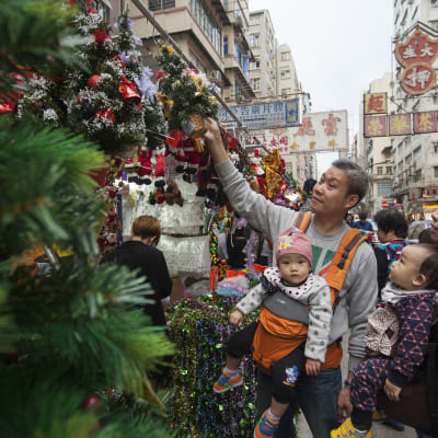 Hongkongbor väljer julgran