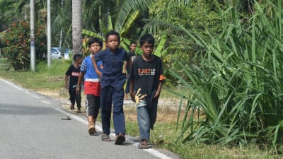 Bild på fyra barn som går vid väggrenen på en asfalterad väg. Bredvid växer gröna växter.