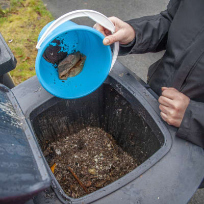 Kuopiolainen Sirpa Pitkämäki tyhjentää kodin biojätteitä uuteen kompostoriin.