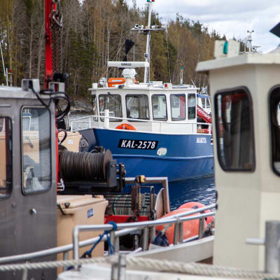 Saimaan Kalan troolausaluksia Joutsenon satamassa.