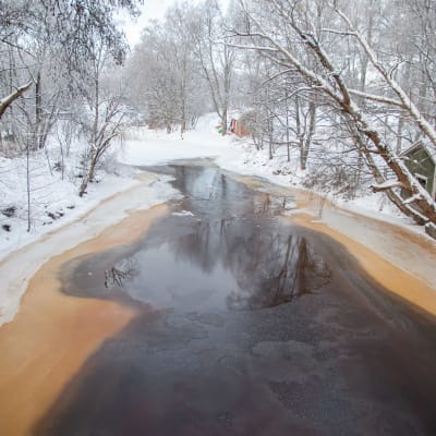 Osittain sula Virojoki talvella kuvattuna sillalta yläjuoksulle.