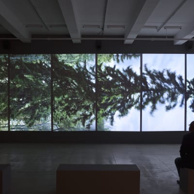 Eija-Liisa Ahtila, Vaakasuora-Horizontal, 2011, 6-kanavainen projisoitu installaatio.
