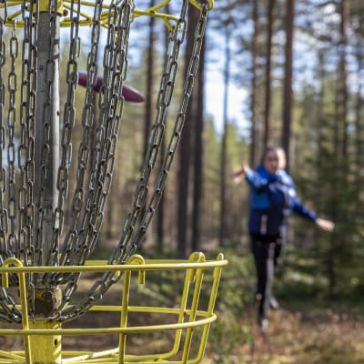 Rovaniemeläinen Terhi Tuorilainen harjoittelemassa Rovaniemen frisbeegolf-radalla
