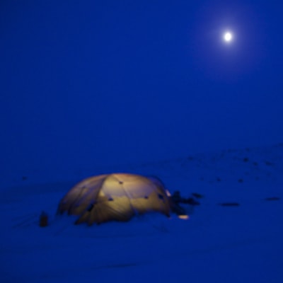 Tom Nylund på Grönland