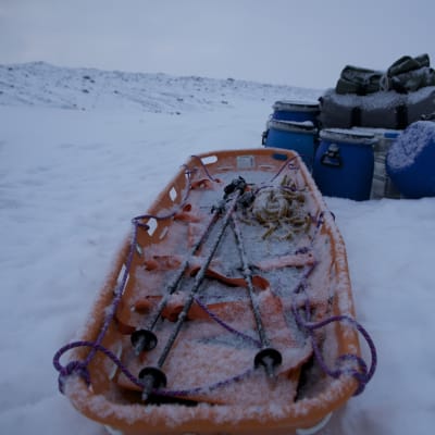 Tom Nylund på Grönland