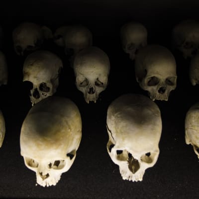 Skallar av döda efter folkmordet i Rwanda.