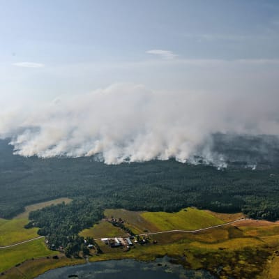 Stora skogsbränder i Sala i Sverige 2014.