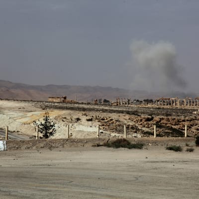 Syriska regeringstrupper lämnar Palmyra efter att IS angripit staden.