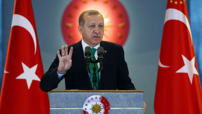 Oppositionen befarar att president Recep Tayyip Erdoğan får nästan oinskränkt makt om grundlagsändringen godkänns i en folkomröstning i april