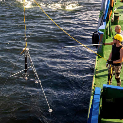 Den här bilden från den 12 juli visar ekolod som sänks ner till M/S Estonias vrak Under den pågående undersökningen används ekolod och sonarmetoder för att undersöka vraket och bottenförhållandena. 