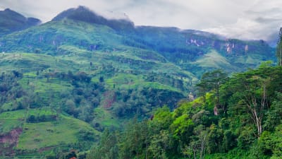Sri Lanka