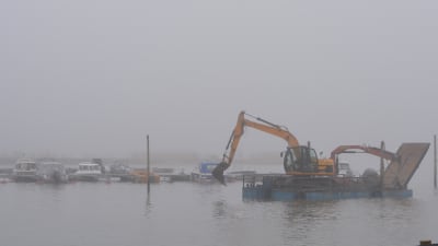 Muddring i småbåtshamnen i ingå.