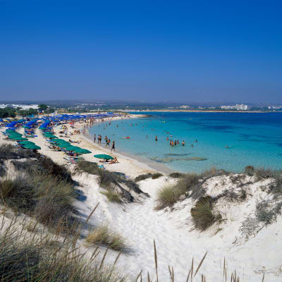 Strand i Cypern. 