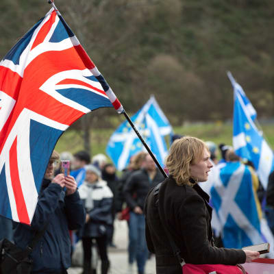 En demonstrant står med en brittisk flagga på axeln. Bakom honom syns flera demonstranter med skotska flaggor.