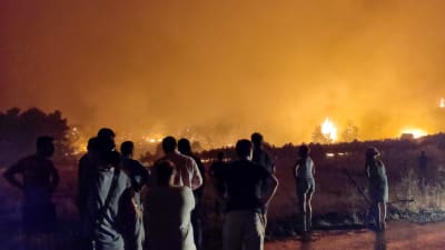 Flera människor står och tittar på en skogsbrand i Limni i Grekland.