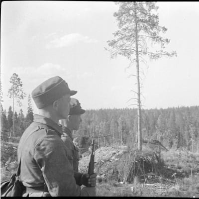 Två soldater blickar ut över skogsmark.