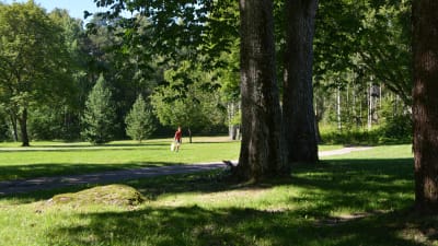 Nu kvarstår ett grönområde