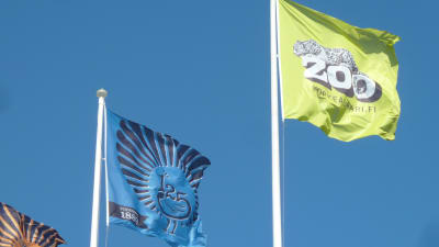 Högholmen flaggar med sin egen logo samt med logon för djurparkens 125-årsjubileum.
