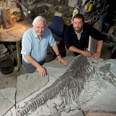 Britanniasta löydettiin merkittävä fossiili, jurakautinen iktyosaurus. Oliko tarujen merihirviö sittenkin olemassa?