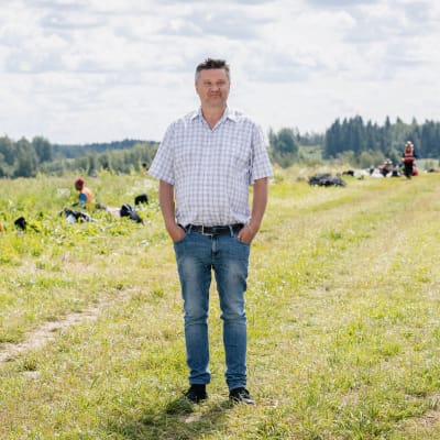 Marjayrittäjä Janne Naapanki mansikkapellon laidalla Hollolassa.