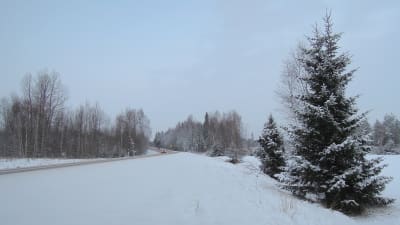 En landsvägskurva, mycket snö vid vägrenen. Två bilar närmar sig tittaren.