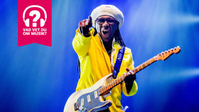Nile Rodgers.