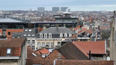 Vy över Bryssels taktoppar
