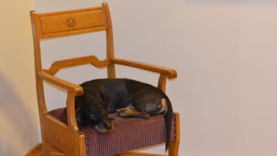 Taxen Melker var med på budgetinfo i Hangö.