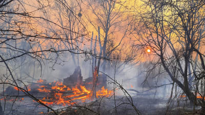Eldsvåda i terrängen nära Tjernobyl. 