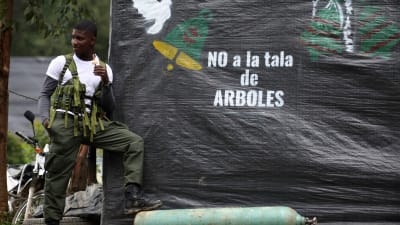 En Farc-rebell står vakt vid julfirande i bergstrakterna i sydvästra Colombia den 24 december 2016.