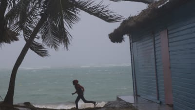 Orkanen Maria