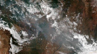 Nasas satellitbild av skogsbränderna i Amazonas. 