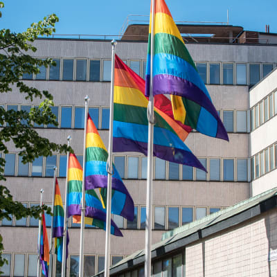Helsinki Pride 2017 -viikon aikana pidettiin sateenkaarilippuja esillä yliopiston Porthanian rakennuksen edessä.