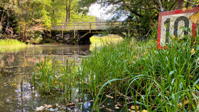 En liten å med brunt vatten, gräs och vass och träd, En gammal stenbro med trälock och -räcken går över ån. Solsken, höstlöv i vattnet. En hastighetsbegränsningsskyhlt längst till höger där det står 10.
