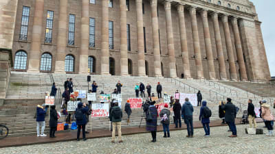 Demonstranter med banderoller på riksdagens trappa.