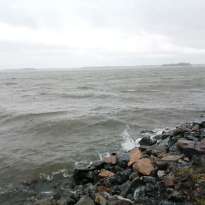 Meri Merenkurkku Vaasa