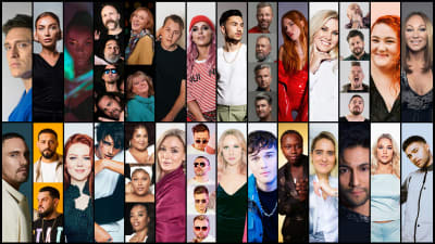 Melodifestivalens alla 28 artister i egna bildrutor 
