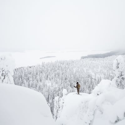 Mies seisoo tykkylumisessa talvimaisemassa Kolin huipulla katsomassa maisemaa Pieliselle.