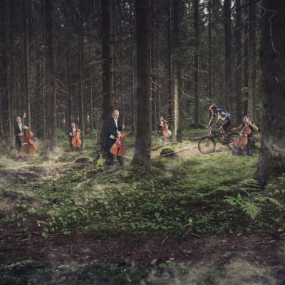 Sinfoniaorkesterin muusikoita seisoo soittimineen hämyisessä kuusikossa, jossa kulkevaa polkua pitkin ajaa maastopyöräilijä.