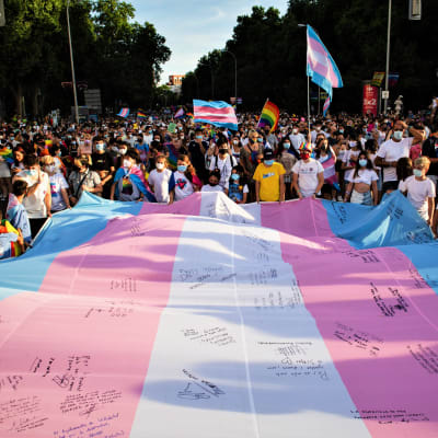 Personer som protesterar håller i en massiv transflagga.