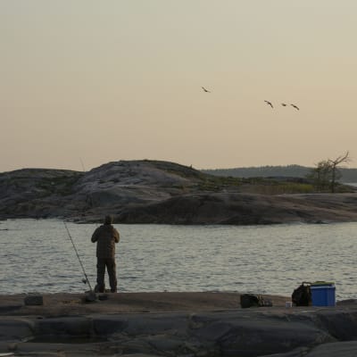 Friluftsområdet Kopparnäs-Störsvik. 