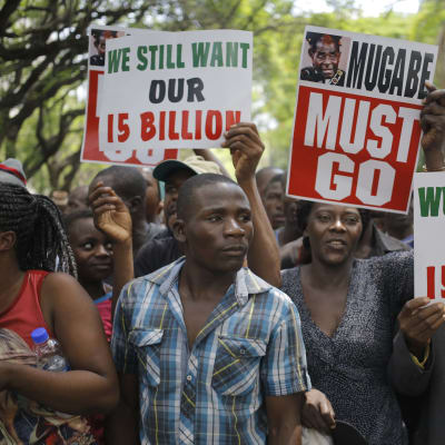 Demonstration mot Robert Mugabe i Harare 21.11.2017.