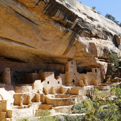 En av klippbyarna i Mesa Verde.