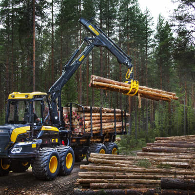 En traktor som lyfter träd i skogen.